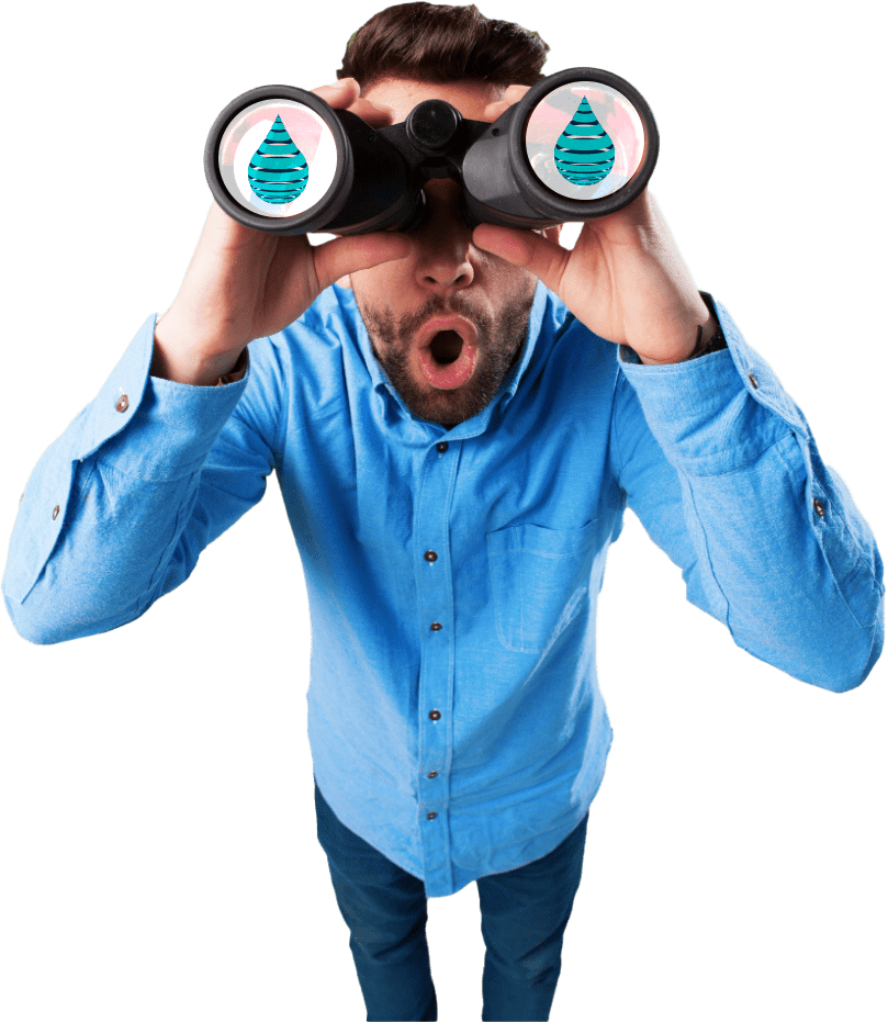 Visualización digital